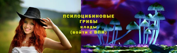 ГАЛЛЮЦИНОГЕННЫЕ ГРИБЫ Тихвин